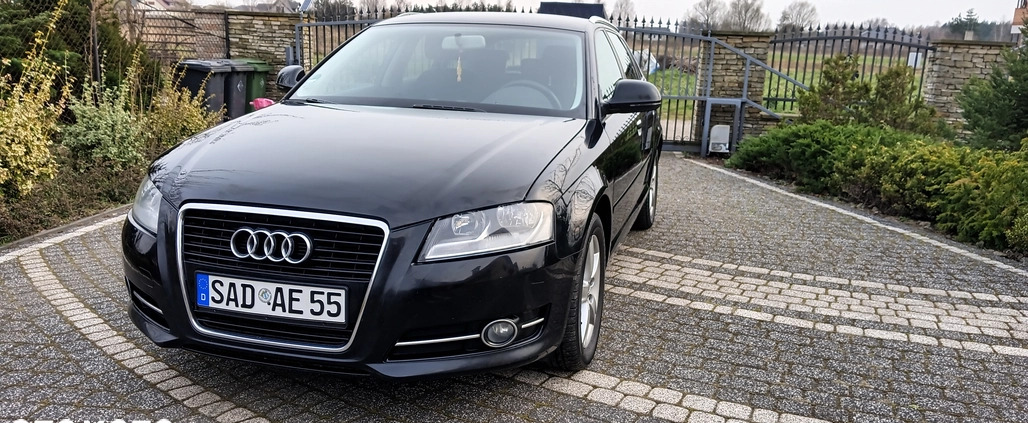 Audi A3 cena 25900 przebieg: 197258, rok produkcji 2009 z Kętrzyn małe 301